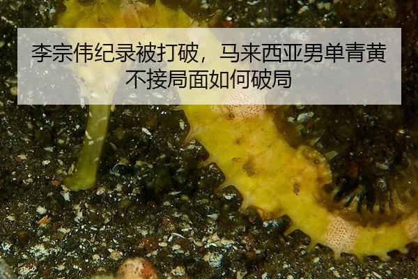 李宗伟纪录被打破，马来西亚男单青黄不接局面如何破局