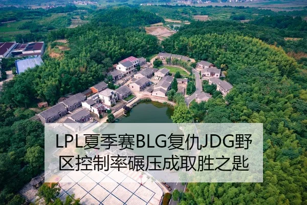 LPL夏季赛BLG复仇JDG野区控制率碾压成取胜之匙