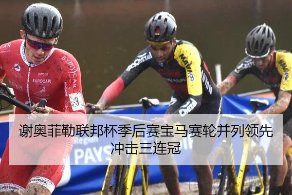 谢奥菲勒联邦杯季后赛宝马赛轮并列领先冲击三连冠