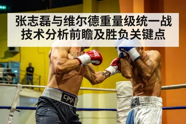 张志磊与维尔德重量级统一战技术分析前瞻及胜负关键点