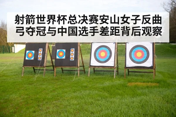 archery target arrows outdoor