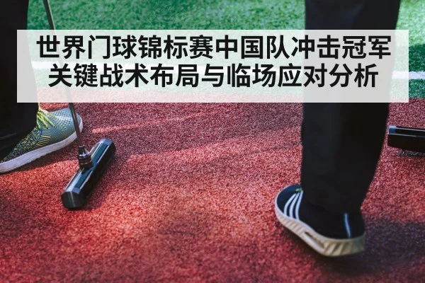 世界门球锦标赛中国队冲击冠军关键战术布局与临场应对分析