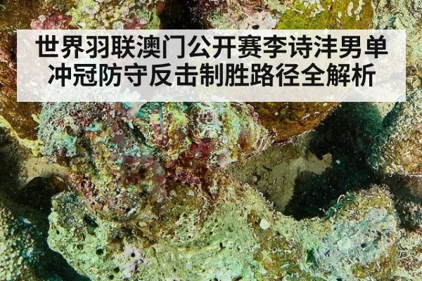 世界羽联澳门公开赛李诗沣男单冲冠防守反击制胜路径全解析